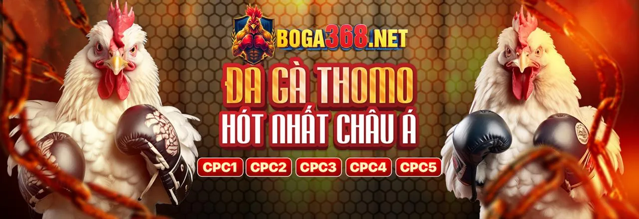 Đá gà trực tuyến Sbobet88