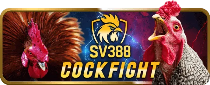 Người dùng đang đặt cược thể thao trên ứng dụng di động Sbobet88
